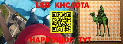 apvp Владивосток