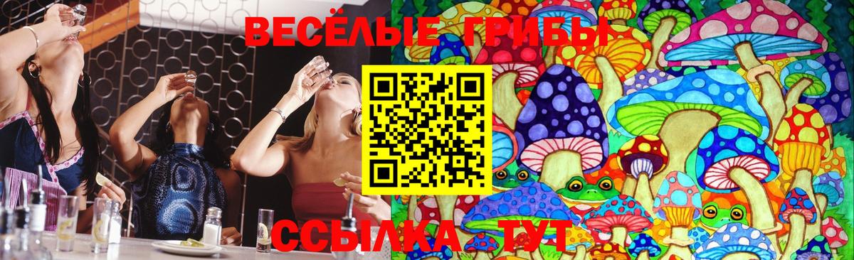 Псилоцибиновые грибы Cubensis  Вход с VPN  Губкин 